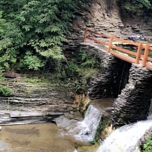 Meet your Posher, Sawsan